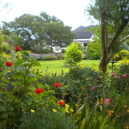 Auberge Alouette Guesthouse Franschhoek Extérieur photo