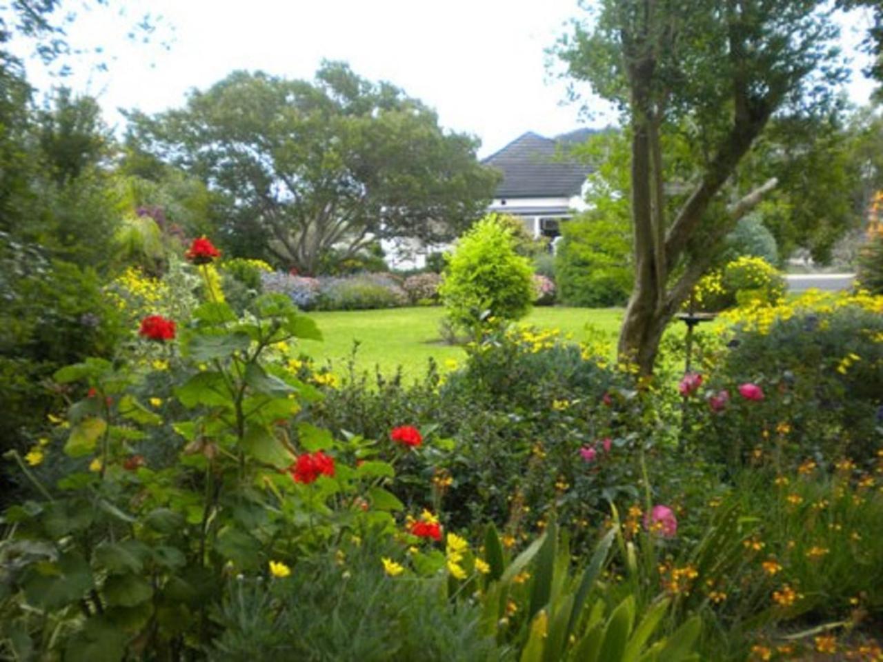 Auberge Alouette Guesthouse Franschhoek Extérieur photo