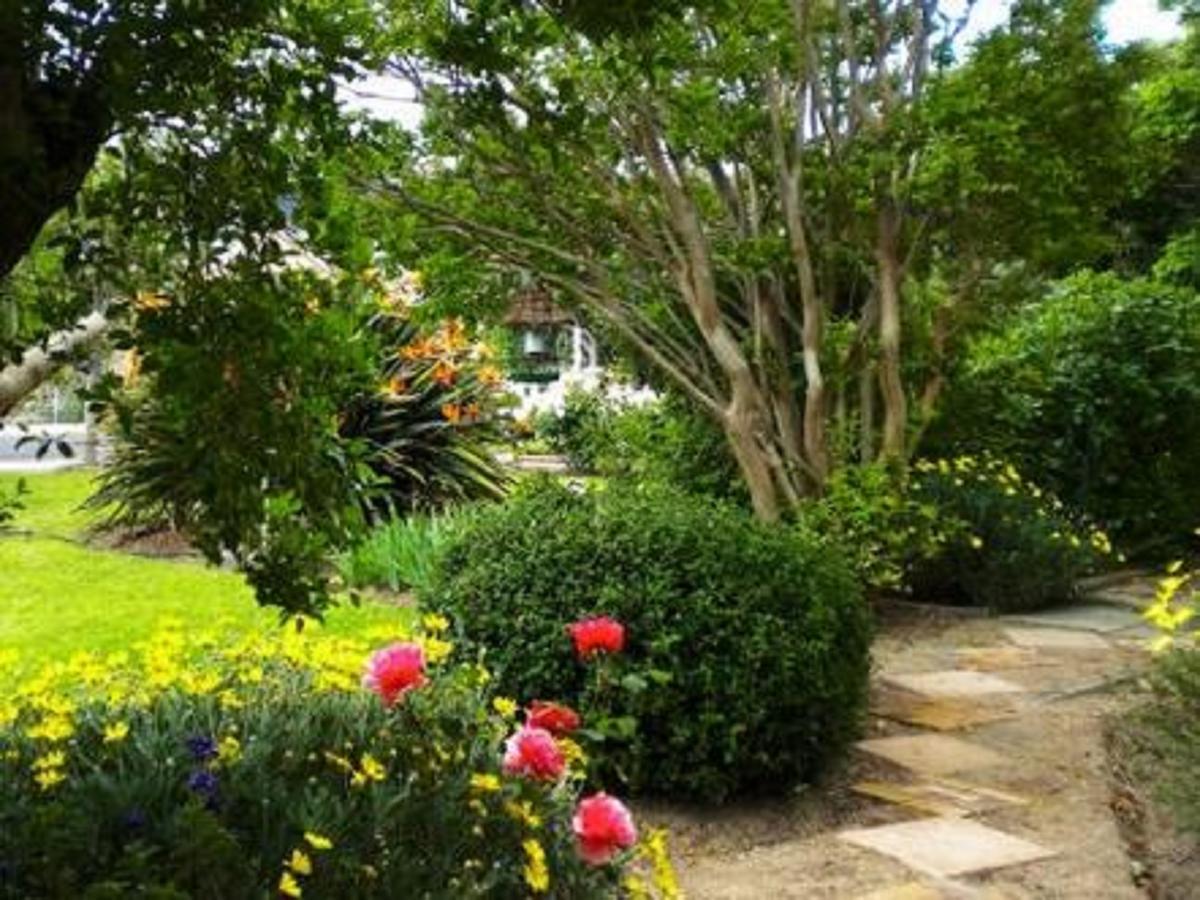 Auberge Alouette Guesthouse Franschhoek Extérieur photo
